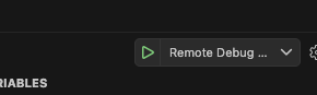 Python Debug Button